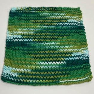 DISHCLOTH- JUNEBUG